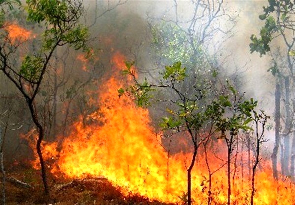 هواشناسی نسبت به آتش‌سوزی در جنگل‌ها و مراتع مازندران هشدار داد