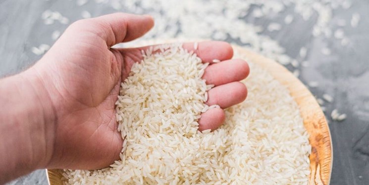 قیمت تضمینی برنج اعلام می‌شود / تعلل در اعلام قیمت به‌نفع تولید نیست