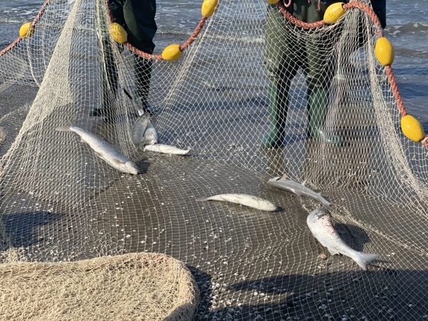 زمان شروع فصل صید ماهی‌ در مازندران اعلام شد