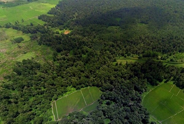اطلس طبیعت گردی جنگل های هیرکانی تهیه شود
