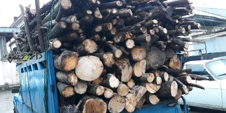 حمل و انتقال چوب‌آلات جنگلی در ایام نوروز ممنوع است
