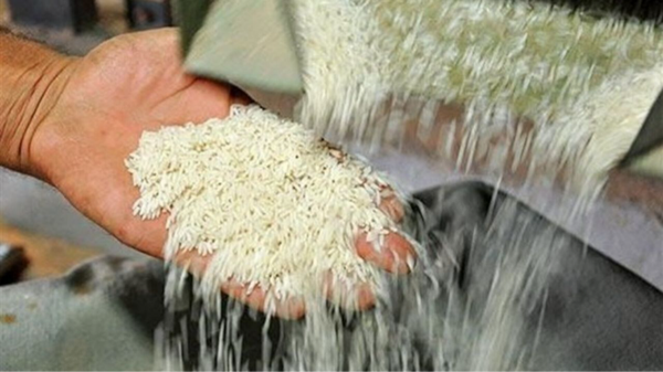 مدیرکل تعزیرات حکومتی مازندران با اشاره به تداوم گشت‌های مشترک برای کنترل و نظارت بر بازار، گفت: یک واحد سورتینگ برنج به‌دلیل تخلف ثبت در سامانه انبارها پلمب شد.