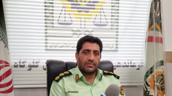 فرمانده انتظامی شهرستان گلوگاه از دستگیری عامل آتش سوزی عمدی یک خودرو در شهرستان خبر داد.