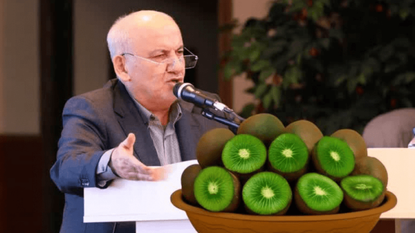 استاندار مازندران با اعلام صادرات ۳۰ هزار تن کیوی و کسب درآمد ۶۰ میلیون دلاری، از برنامه‌ریزی‌های مدون برای توسعه صادرات این محصول پررونق خبر داد.