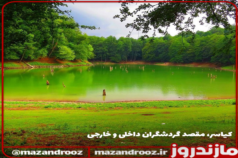 کیاسر، مقصد گردشگران داخلی و خارجی