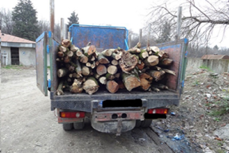 کشف ۴ تن چوب جنگلی قاچاق در ساری