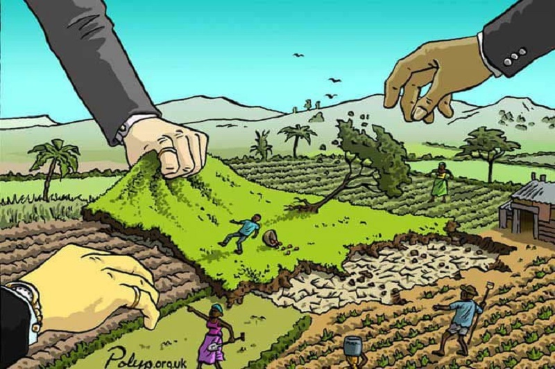 ناکامی ۳ زمین خوار حرفه‌ای در رامسر