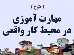 16 بهره بردار میاندورودی مهارت آموز می شوند