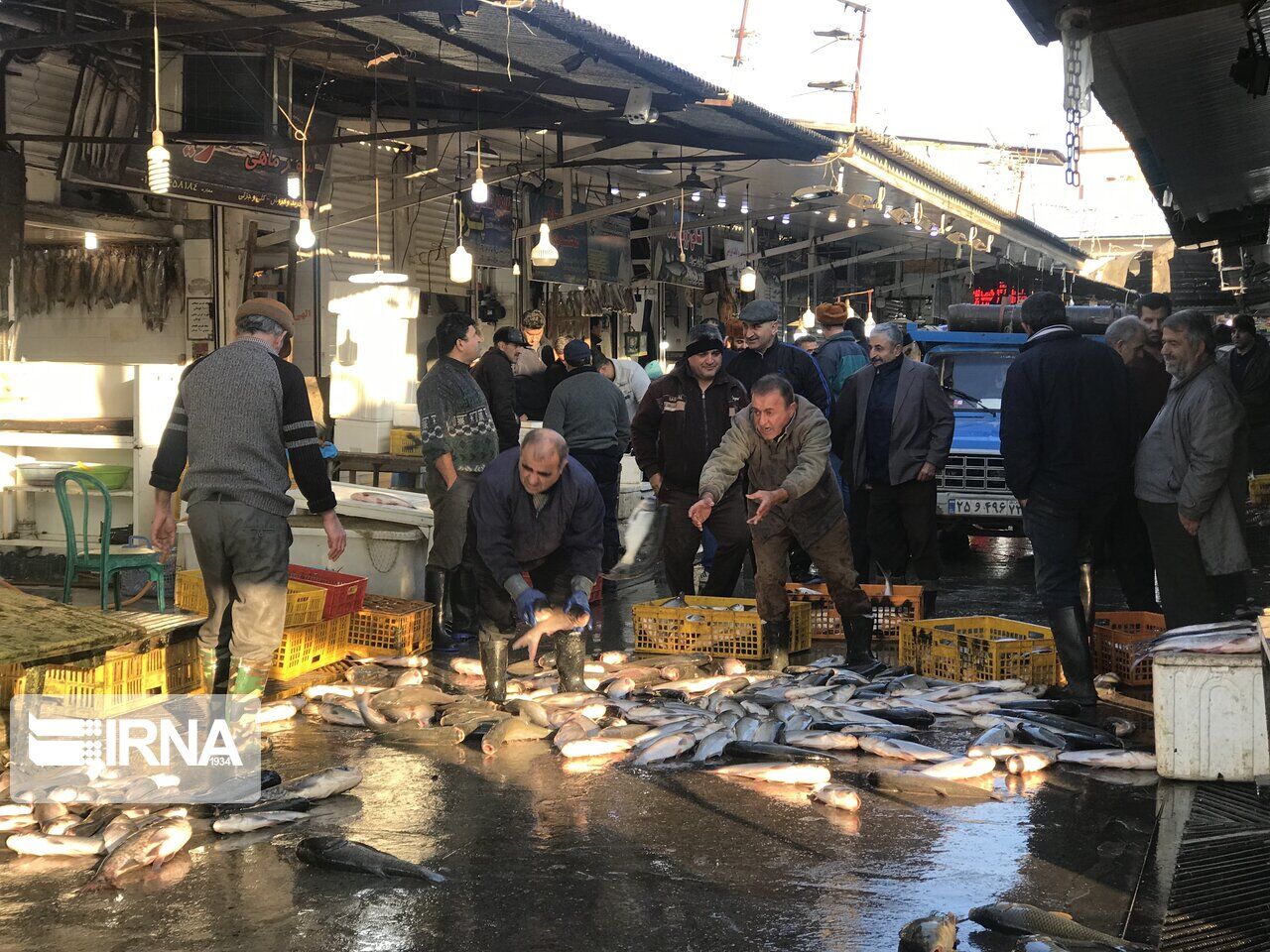 قیمت شکنی صید زمستانه در بازار ماهی‌فروشان مازندران