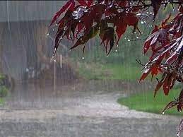 بیشترین میزان بارندگی با ۱۸۷ میلی‌متر در رامسر به ثبت رسید