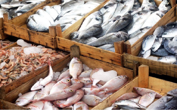 صید ۵۲۵ تن انواع ماهیان استخوانی از دریای خزر