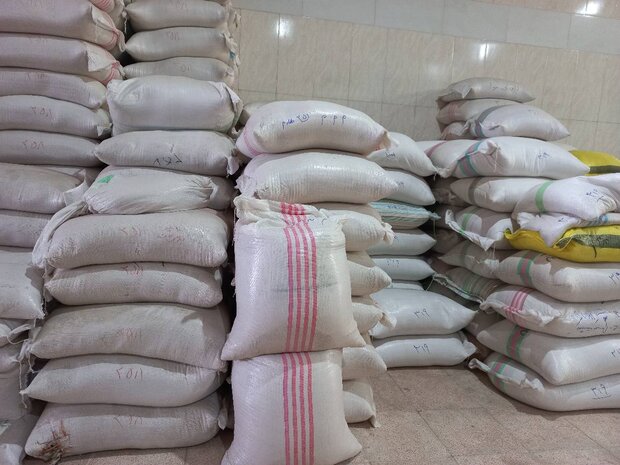 خرید توافقی ۳۰۰ تُن برنج پرمحصول در مازندران