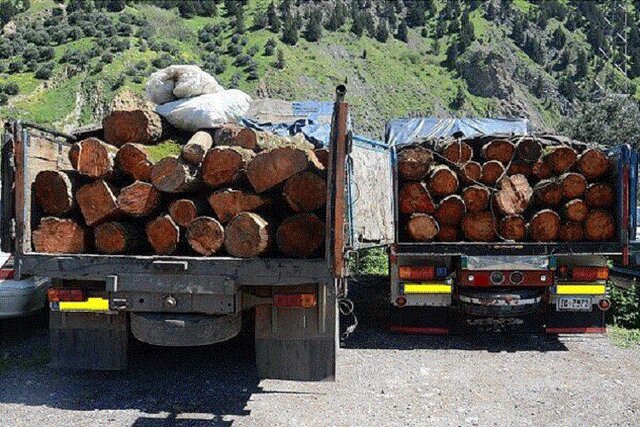 مازندران برای قاچاقچیان چوب و جنگل خواران ناامن می‌شود