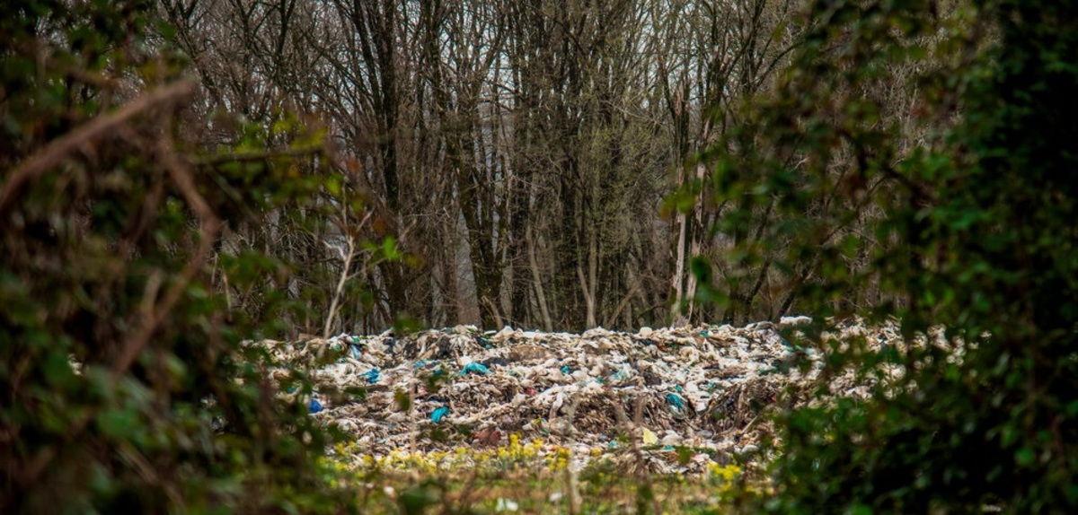تصاویر| دپوی زباله در دل جنگل‌های هیرکانی