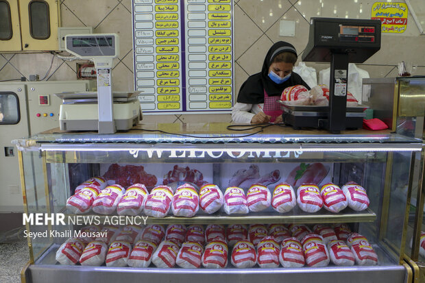 توزیع ۳۰۴ تن گوشت مرغ روز سیزده بدر در مازندران