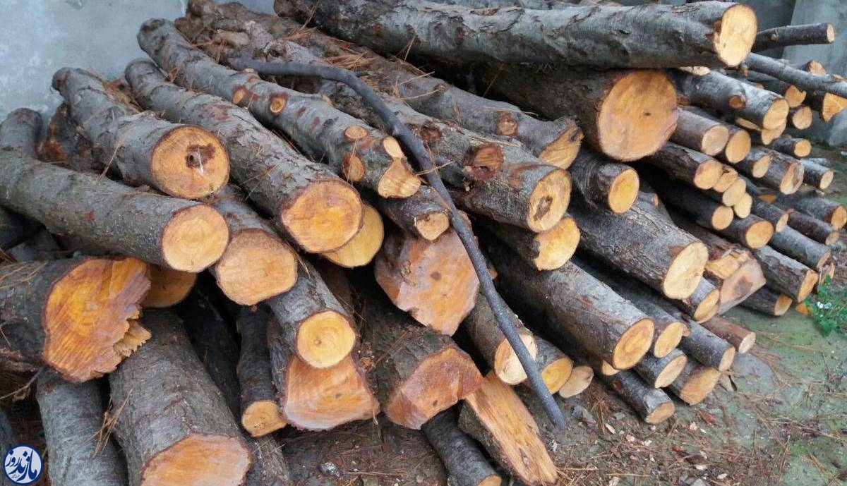 صدور حکم جلب ۲۵ قاچاقچی چوب جنگلی در شهرستان عباس‌آباد