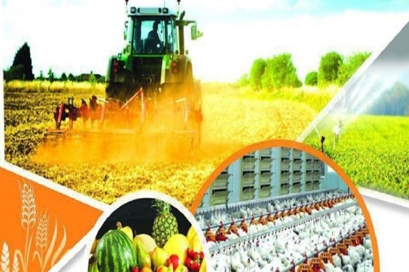 افتتاح و کلنگ‌زنی 53 پروژه کشاورزی دهه فجر در مازندران