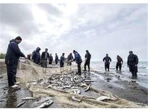 صید 1500 تن انواع ماهی استخوانی خزری در مازندران