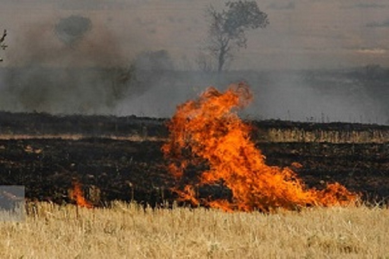 آتش زدن کاه و کلش ۲ کشاورز آملی را به دادگاه کشاند