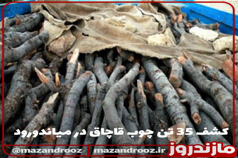 کشف ۳۵ تن چوب قاچاق در میاندورود