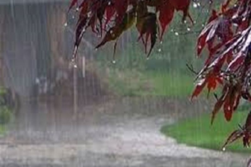 افزایش 27 درصدی بارش باران در مازندران