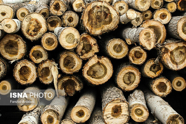 کشف ۴ تن چوب جنگلی قاچاق در کلاردشت
