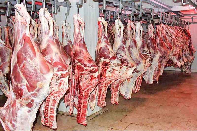تولید بیش از ۳ هزار تن گوشت قرمز در ساری
