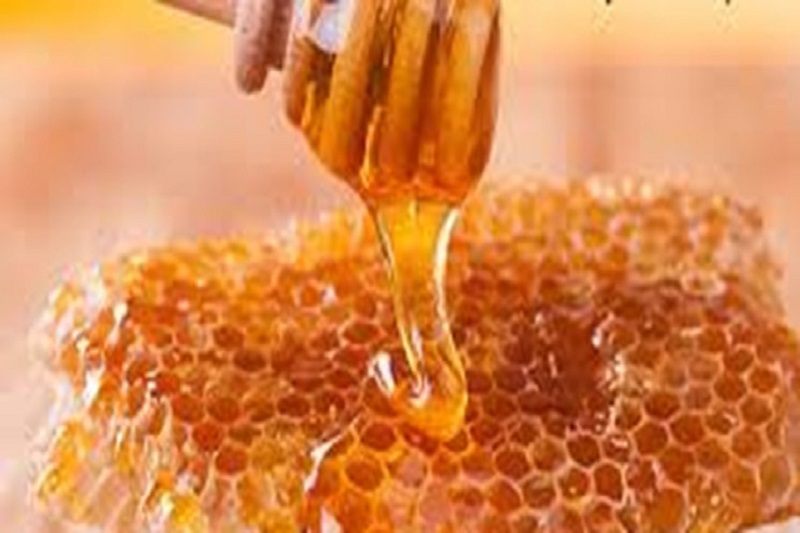 تولید 6 هزار تنی عسل در کلنی‌های مدرن مازندران