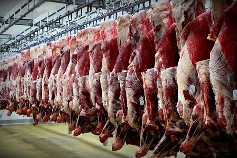  تولید بیش از ۱۴ هزار تن گوشت قرمز و شیر در محمودآباد