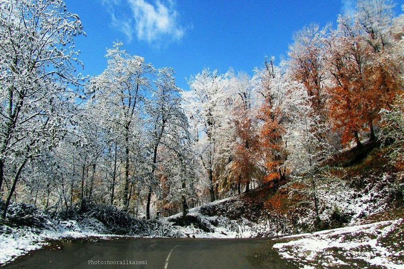 پیش بینی وضع هوا