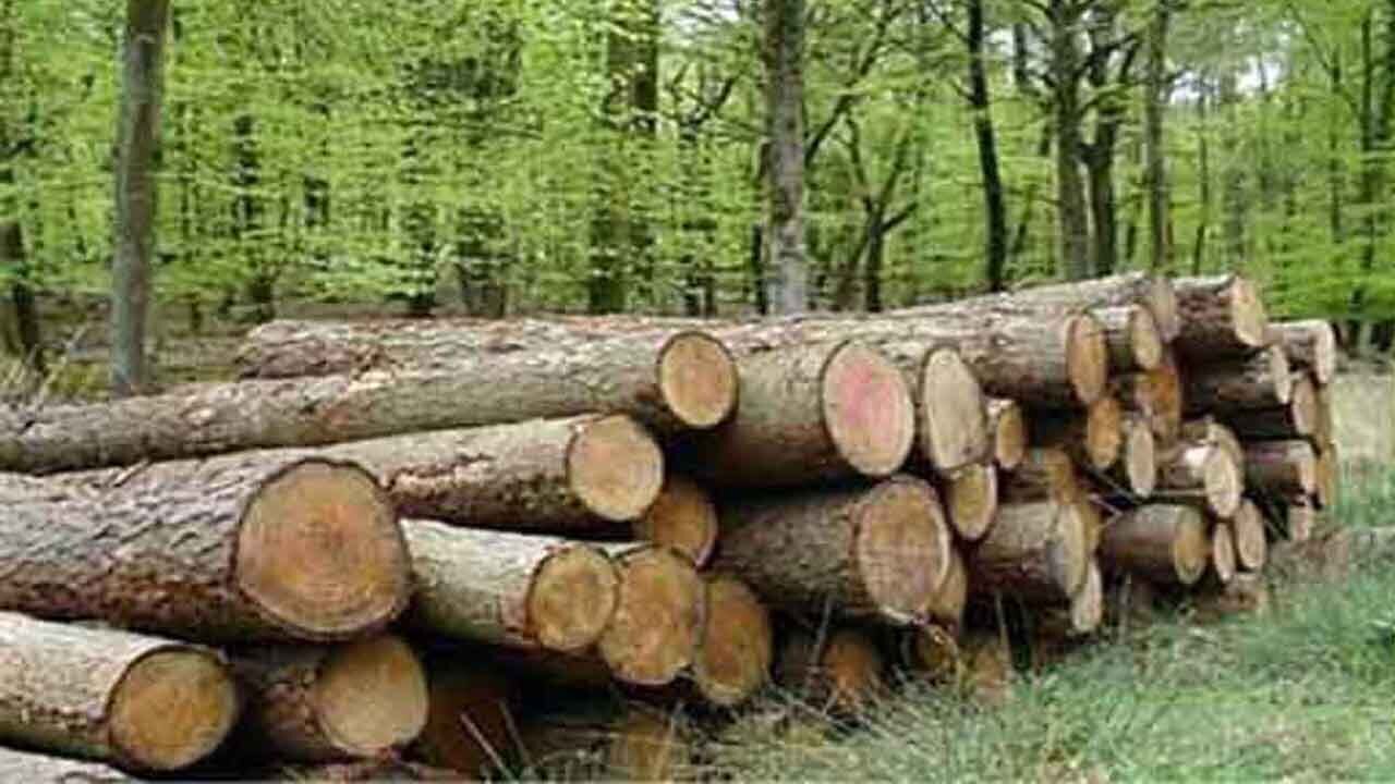 کشف یک تن چوب قاچاق از داخل پراید