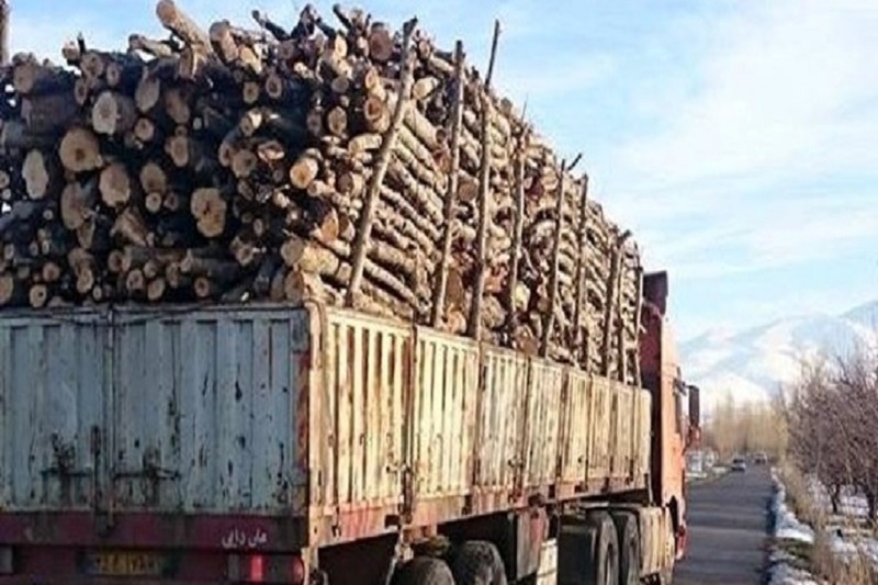 انهدام باند قاچاق چوب آلات جنگلی در ساری