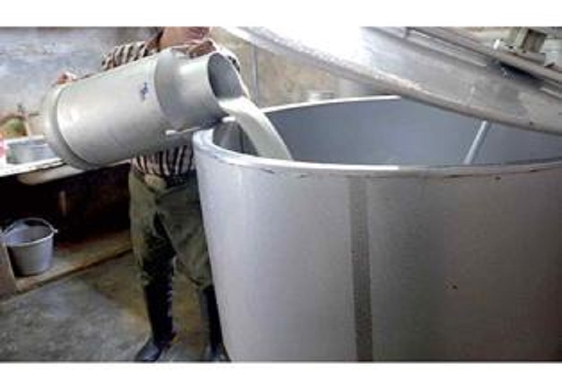 تولید 50 تن شیرخام روزانه در نکا