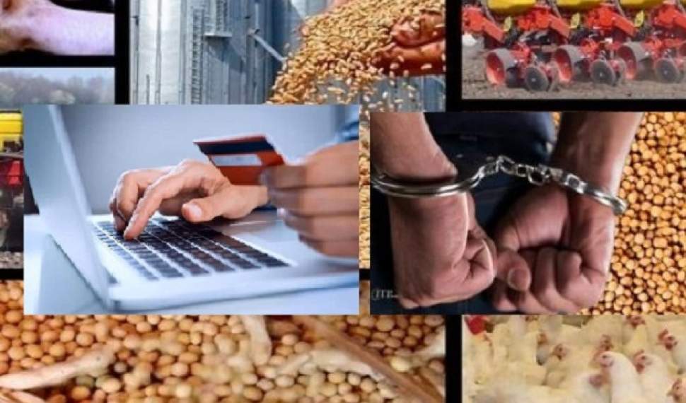 معرفی ۲۷۴ واحد عرضه کننده نهاده‌های کشاورزی به تعزیرات حکومتی