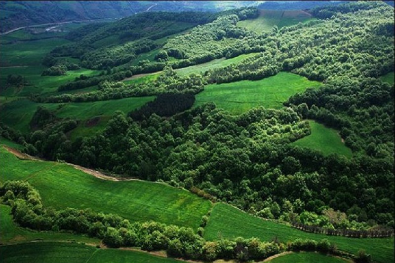 ۶ سایت جنگل های هیرکانی مازندران در فهرست یونسکو ثبت شد