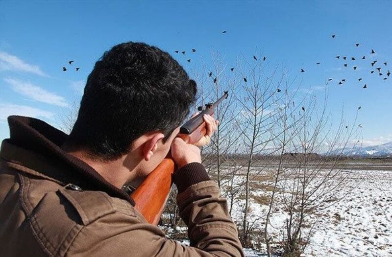 پارسال یکهزار و ۲۸۸ شکارچی غیرمجاز در مازندران دستگیر شدند