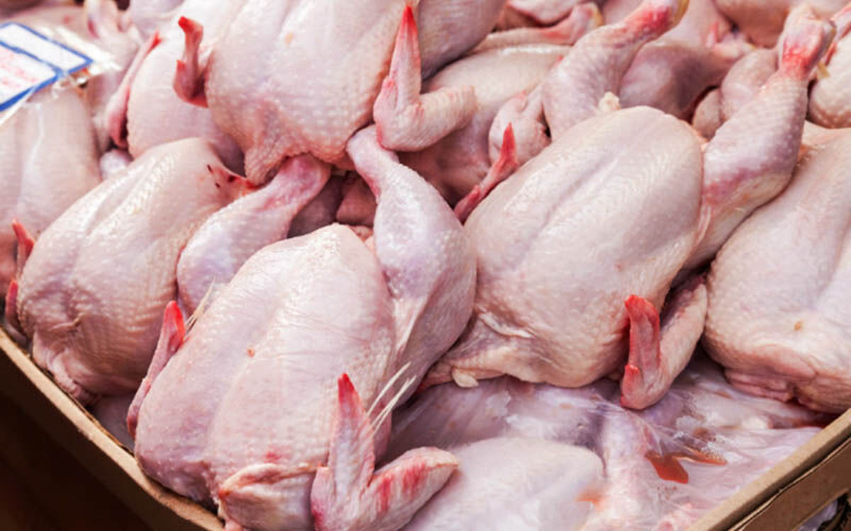 کشف 25 تن گوشت مرغ خارج از شبکه توزیع