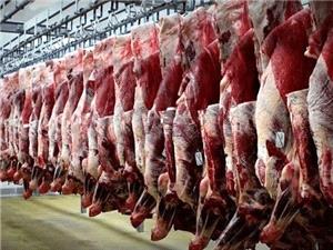تولید سالانه 6500 تن گوشت قرمز در ساری