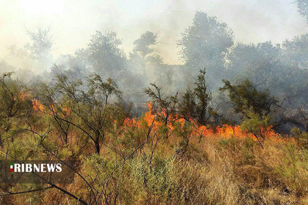  هشدار هواشناسی مازندران در باره آتش سوزی جنگل‌ها