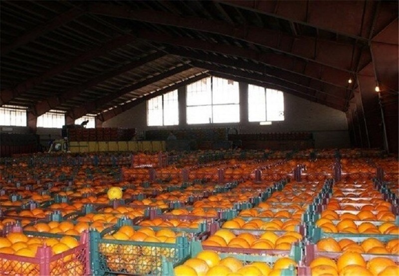 ۲ هزار و ۱۰۰ تن میوه شب عید در قزوین توزیع می‌شود