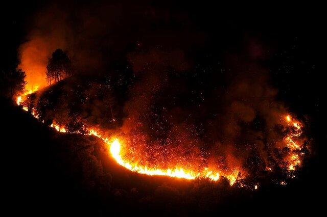آتش‌سوزی جنگل‌های بندپی نوشهر مهار شد